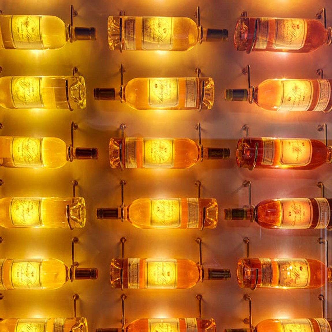 Wine cellar – Château d'Yquem